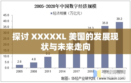 探讨 XXXXXL 美国的发展现状与未来走向