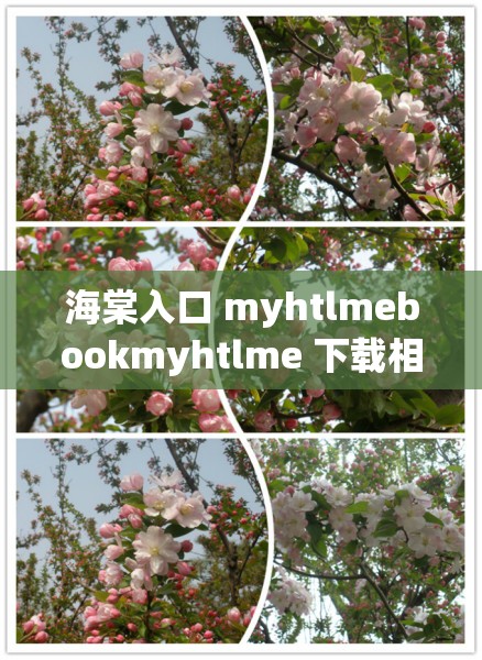 海棠入口 myhtlmebookmyhtlme 下载相关资源获取途径探讨