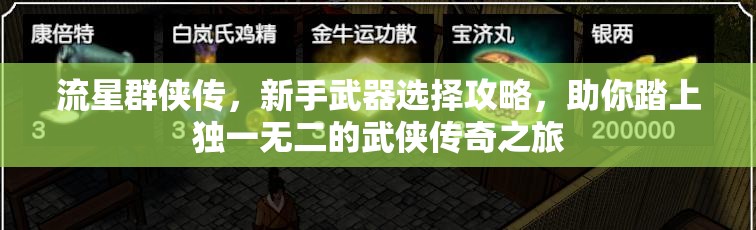 流星群侠传，新手武器选择攻略，助你踏上独一无二的武侠传奇之旅
