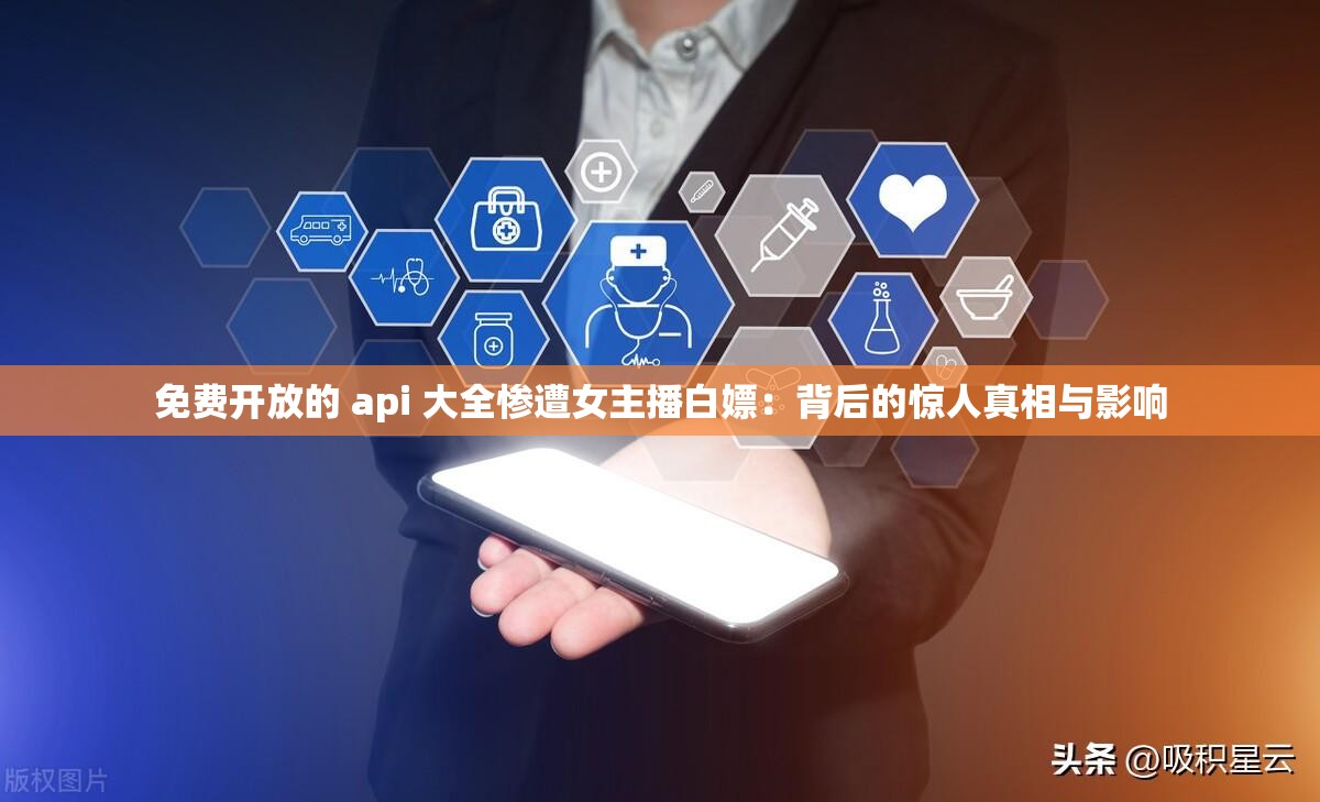 免费开放的 api 大全惨遭女主播白嫖：背后的惊人真相与影响
