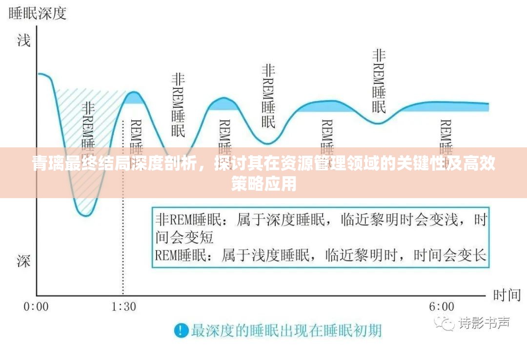 青璃最终结局深度剖析，探讨其在资源管理领域的关键性及高效策略应用