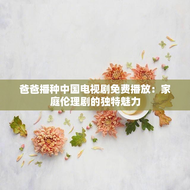 爸爸播种中国电视剧免费播放：家庭伦理剧的独特魅力