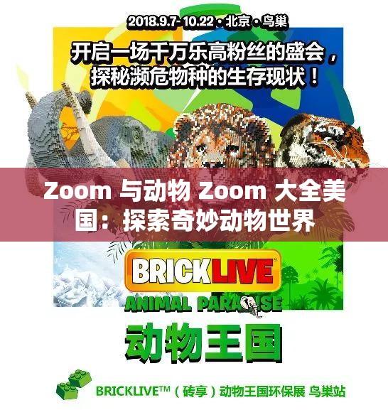 Zoom 与动物 Zoom 大全美国：探索奇妙动物世界