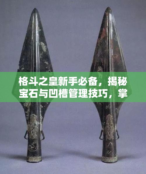 格斗之皇新手必备，揭秘宝石与凹槽管理技巧，掌握资源管理的艺术