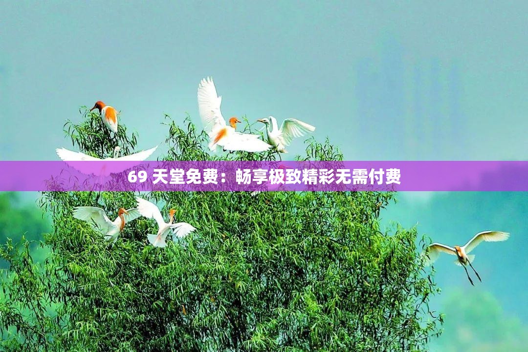 69 天堂免费：畅享极致精彩无需付费