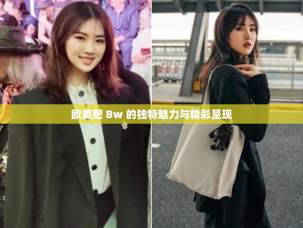 欧美肥 Bw 的独特魅力与精彩呈现