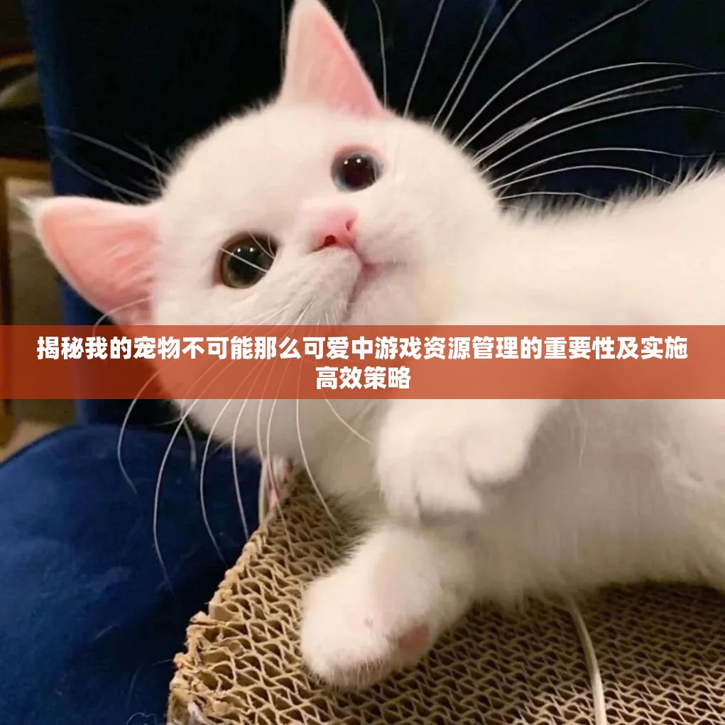 揭秘我的宠物不可能那么可爱中游戏资源管理的重要性及实施高效策略