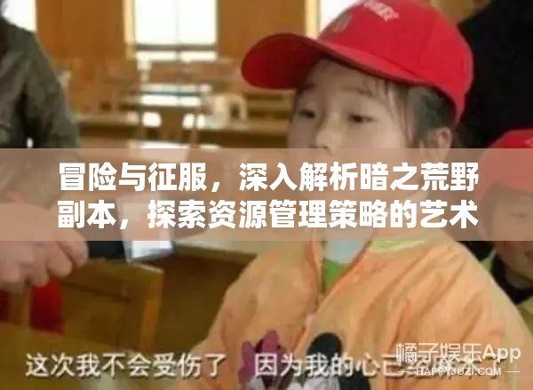 冒险与征服，深入解析暗之荒野副本，探索资源管理策略的艺术