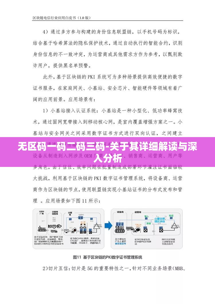 无区码一码二码三码-关于其详细解读与深入分析