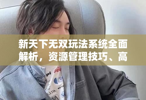 新天下无双玩法系统全面解析，资源管理技巧、高效利用策略及价值最大化指南