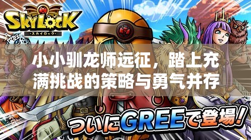 小小驯龙师远征，踏上充满挑战的策略与勇气并存的冒险之旅