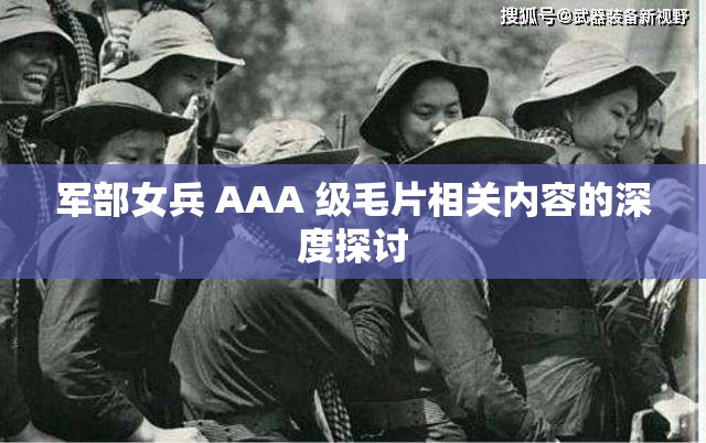 军部女兵 AAA 级毛片相关内容的深度探讨