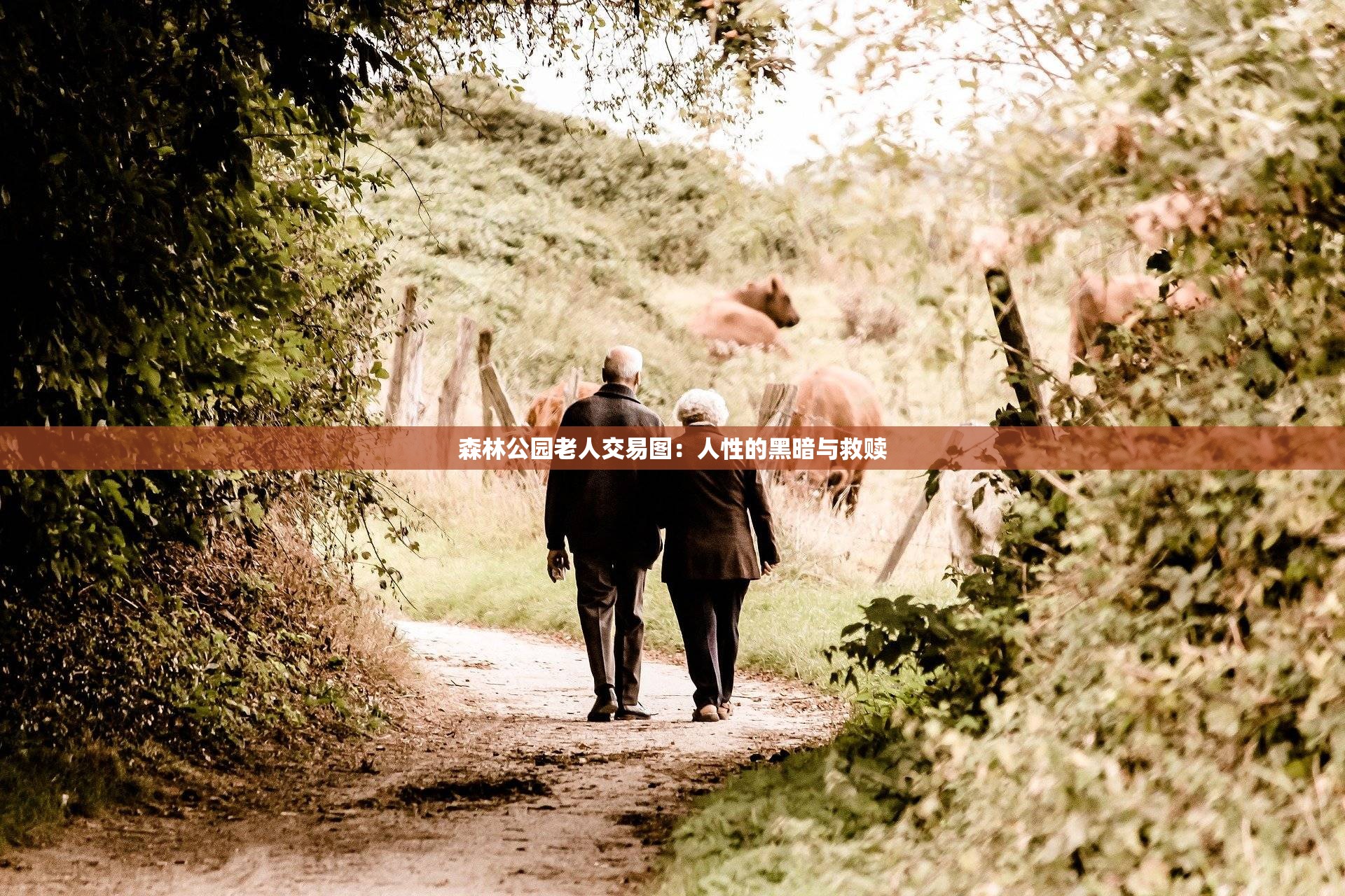 森林公园老人交易图：人性的黑暗与救赎