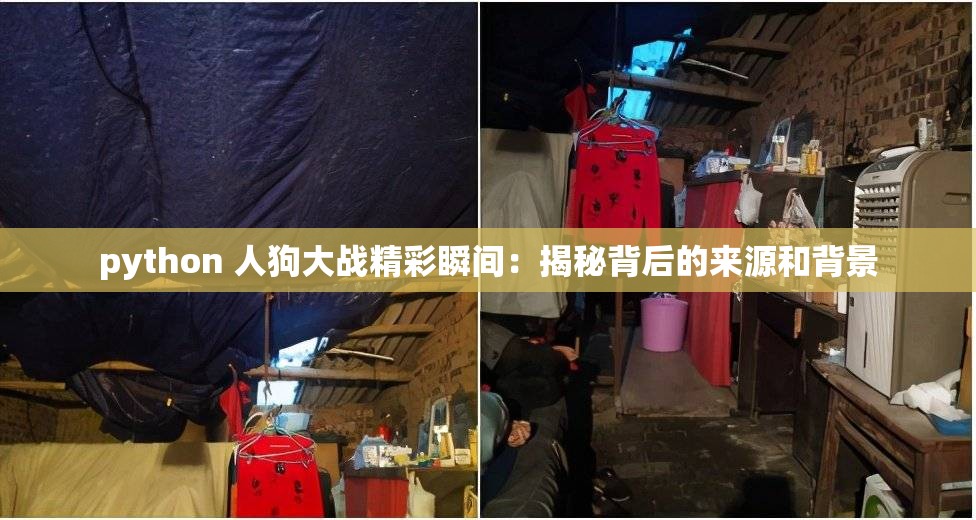 python 人狗大战精彩瞬间：揭秘背后的来源和背景