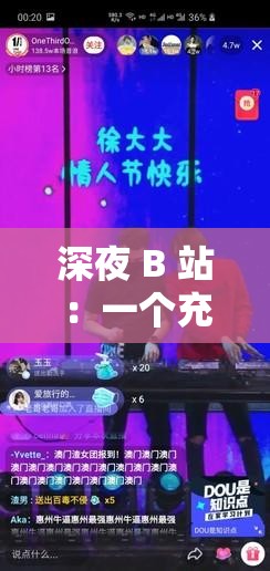 深夜 B 站：一个充满创意与活力的视频分享平台