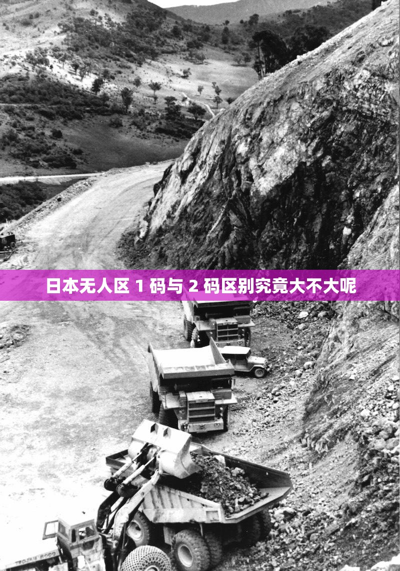 日本无人区 1 码与 2 码区别究竟大不大呢