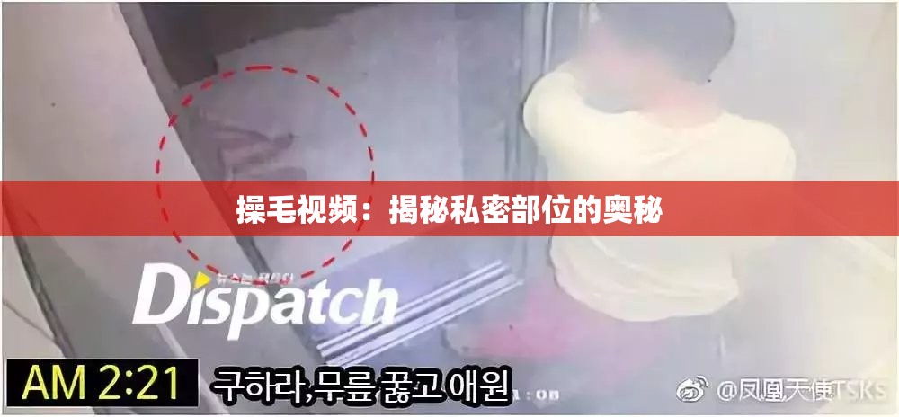 操毛视频：揭秘私密部位的奥秘