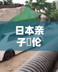 日本亲子薍伦××××69 路国产：探讨家庭关系与伦理道德的国产影片