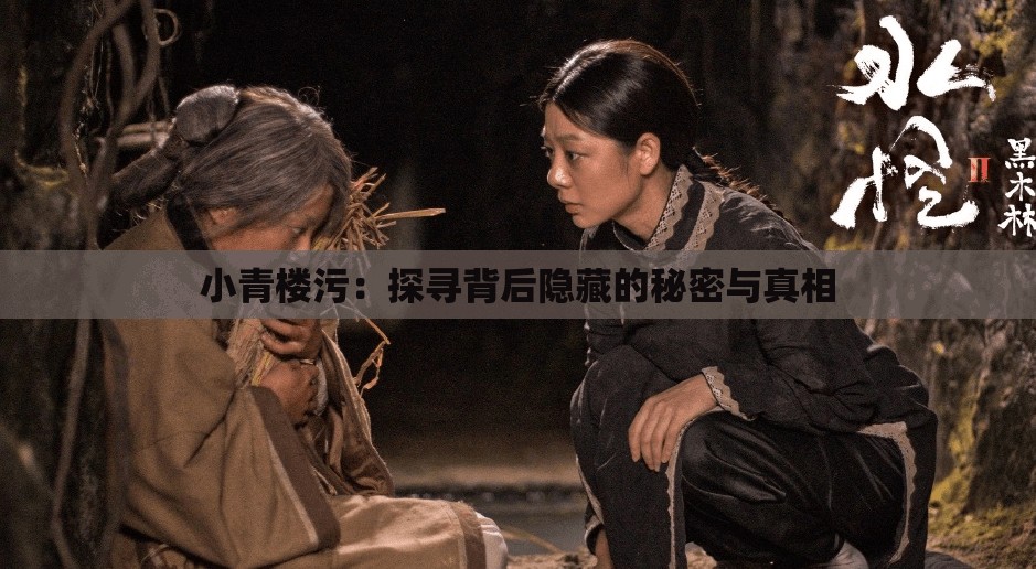 小青楼污：探寻背后隐藏的秘密与真相