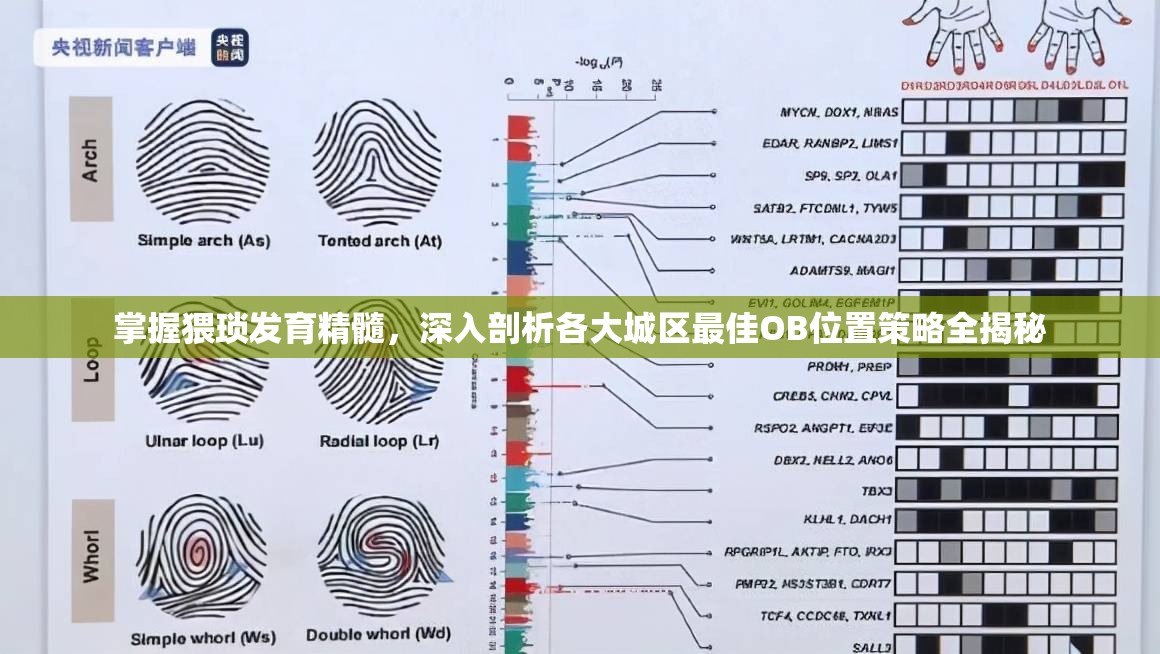 掌握猥琐发育精髓，深入剖析各大城区最佳OB位置策略全揭秘