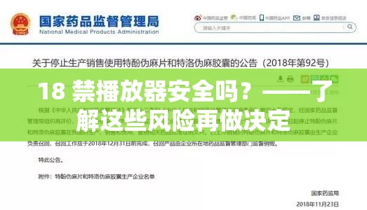 18 禁播放器安全吗？——了解这些风险再做决定