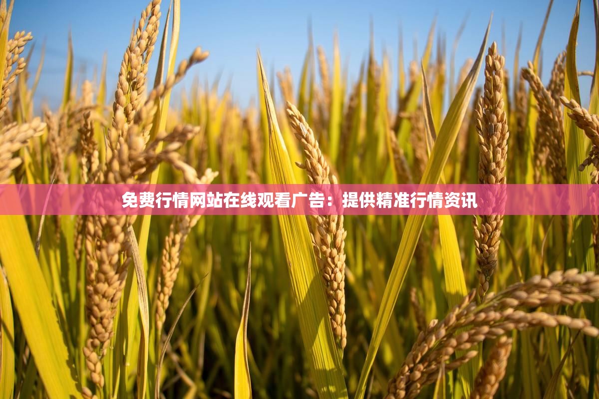 免费行情网站在线观看广告：提供精准行情资讯