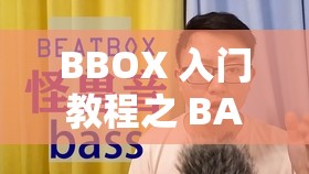 BBOX 入门教程之 BASS 变态重深度解析