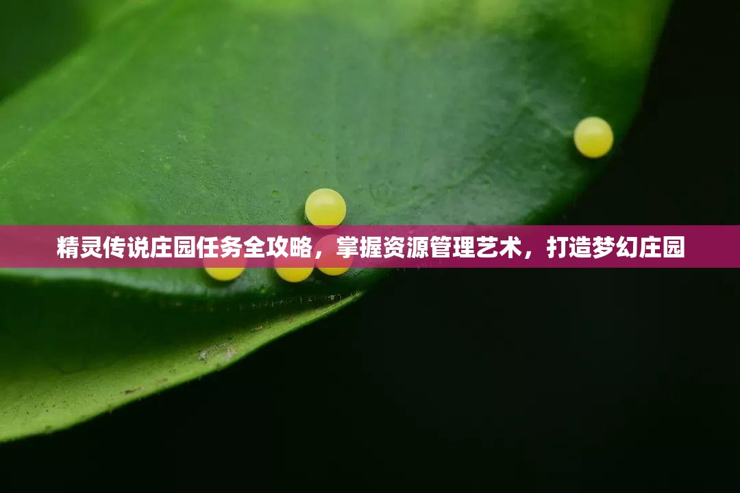 精灵传说庄园任务全攻略，掌握资源管理艺术，打造梦幻庄园