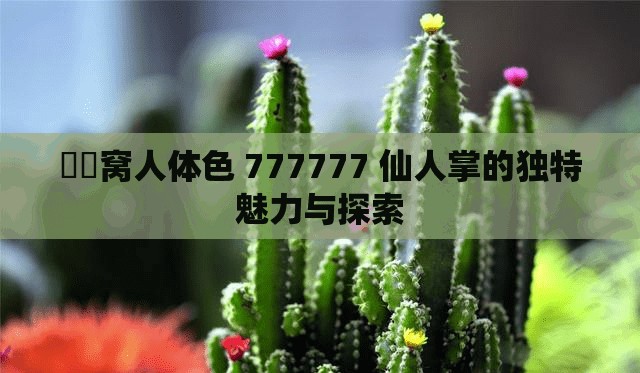 妺妺窝人体色 777777 仙人掌的独特魅力与探索