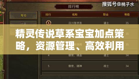 精灵传说草系宝宝加点策略，资源管理、高效利用技巧以实现价值最大化