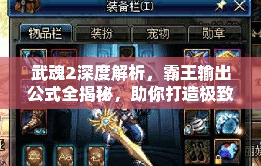 武魂2深度解析，霸王输出公式全揭秘，助你打造极致伤害战斗艺术