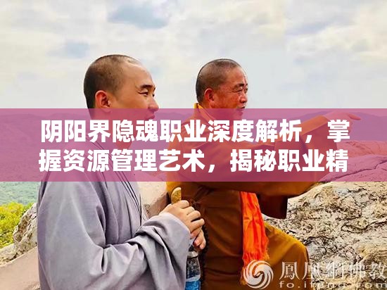 阴阳界隐魂职业深度解析，掌握资源管理艺术，揭秘职业精髓