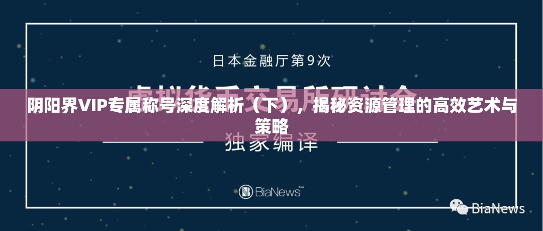 阴阳界VIP专属称号深度解析（下），揭秘资源管理的高效艺术与策略