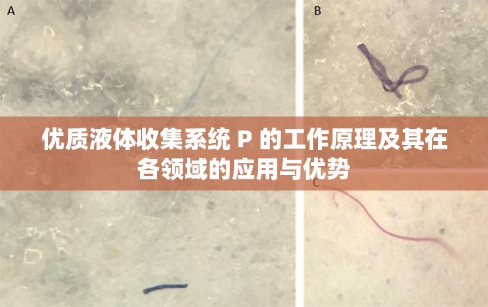 优质液体收集系统 P 的工作原理及其在各领域的应用与优势