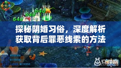 探秘阴婚习俗，深度解析获取背后罪恶线索的方法与途径