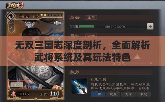 无双三国志深度剖析，全面解析武将系统及其玩法特色