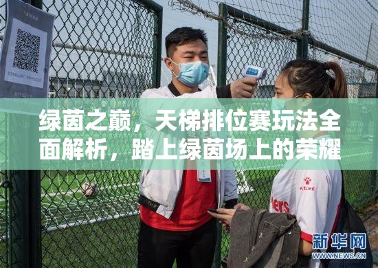 绿茵之巅，天梯排位赛玩法全面解析，踏上绿茵场上的荣耀征途
