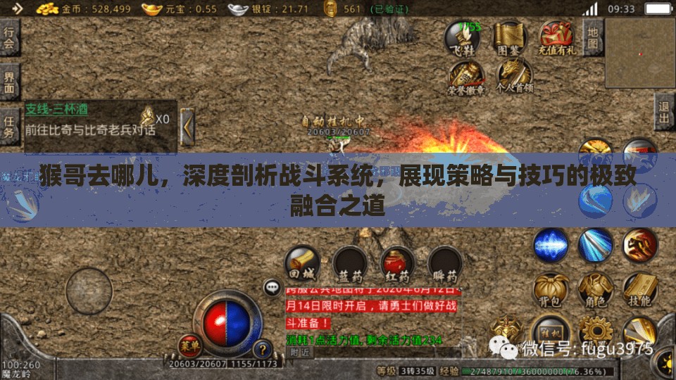 猴哥去哪儿，深度剖析战斗系统，展现策略与技巧的极致融合之道