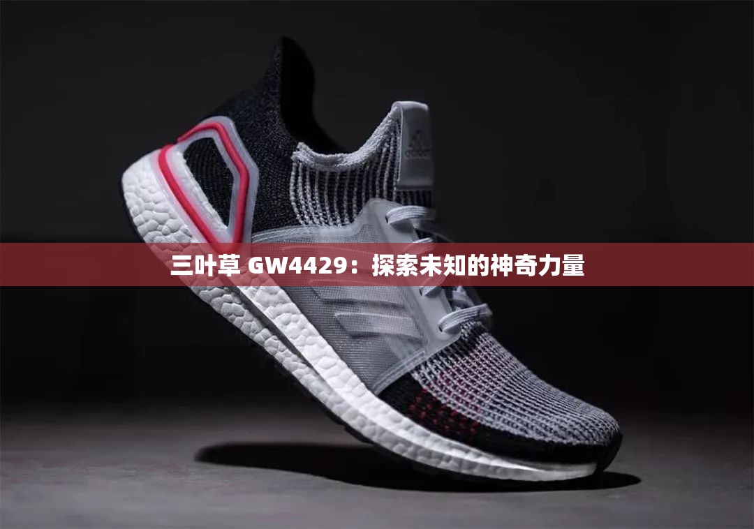 三叶草 GW4429：探索未知的神奇力量