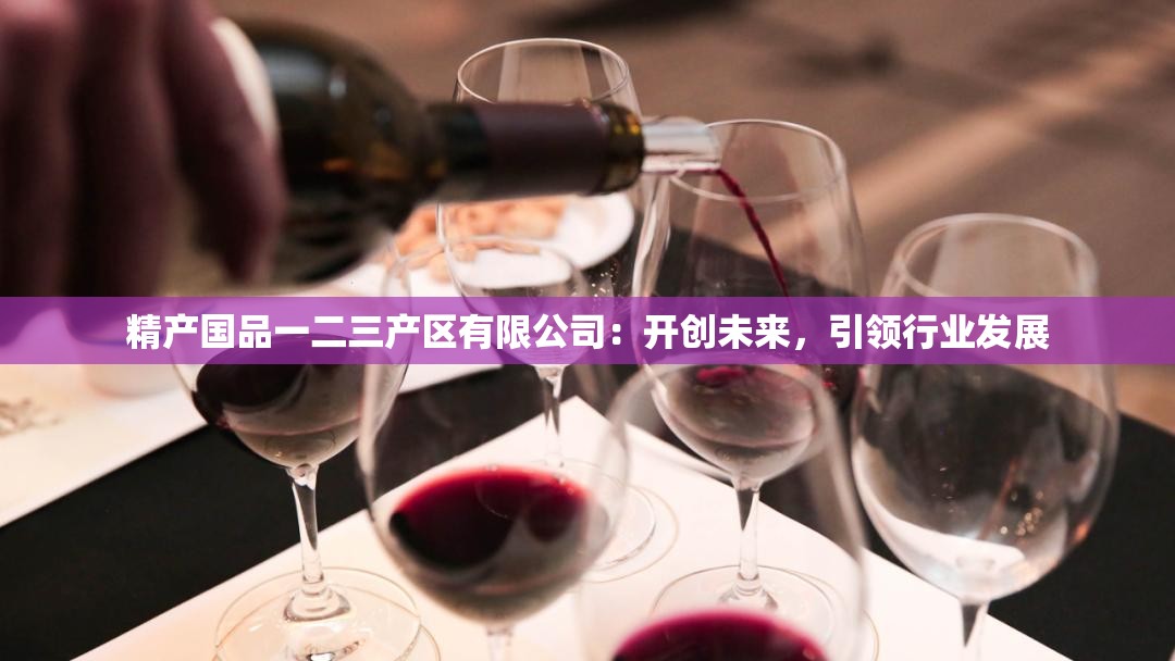 精产国品一二三产区有限公司：开创未来，引领行业发展
