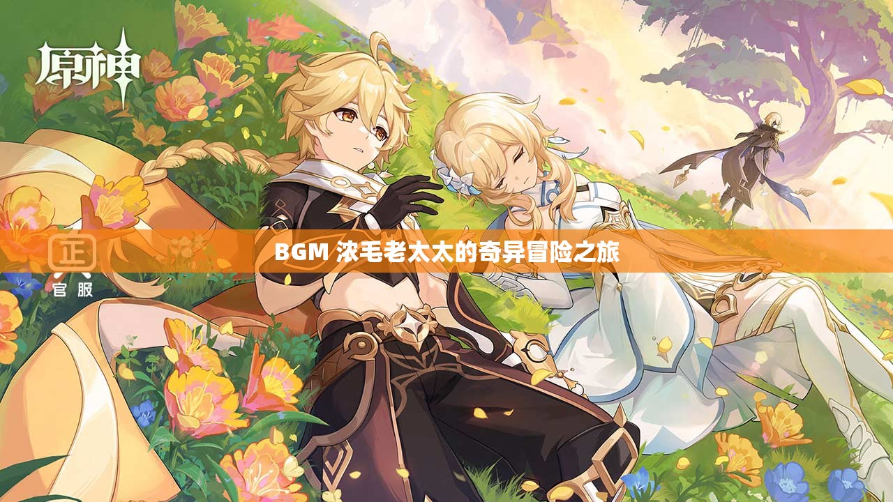 BGM 浓毛老太太的奇异冒险之旅
