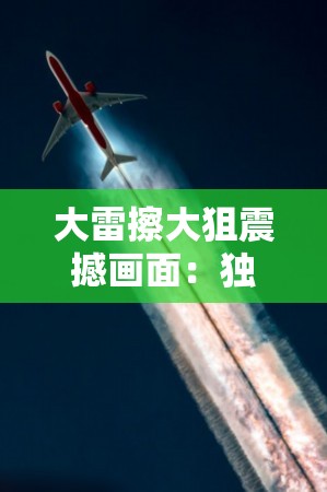 大雷擦大狙震撼画面：独特视角呈现别样精彩