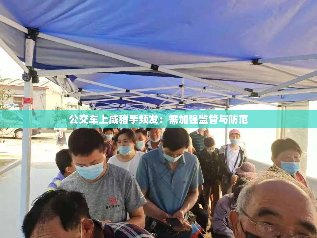 公交车上咸猪手频发：需加强监管与防范