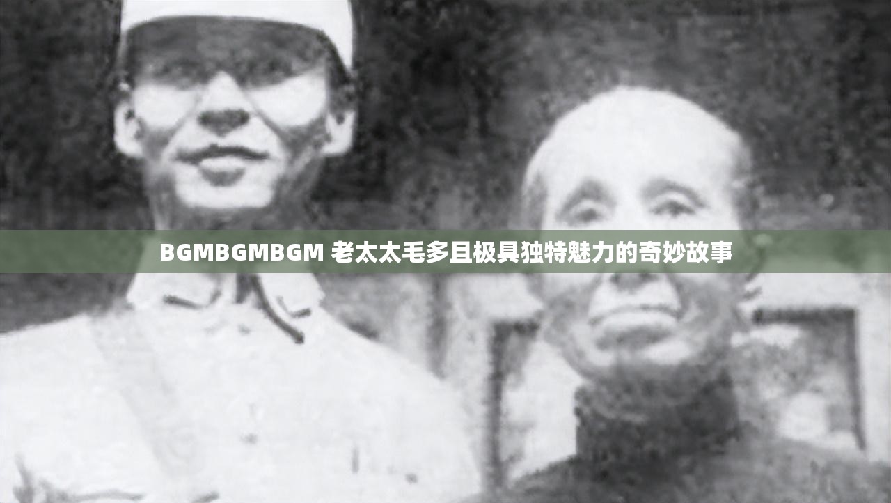 BGMBGMBGM 老太太毛多且极具独特魅力的奇妙故事
