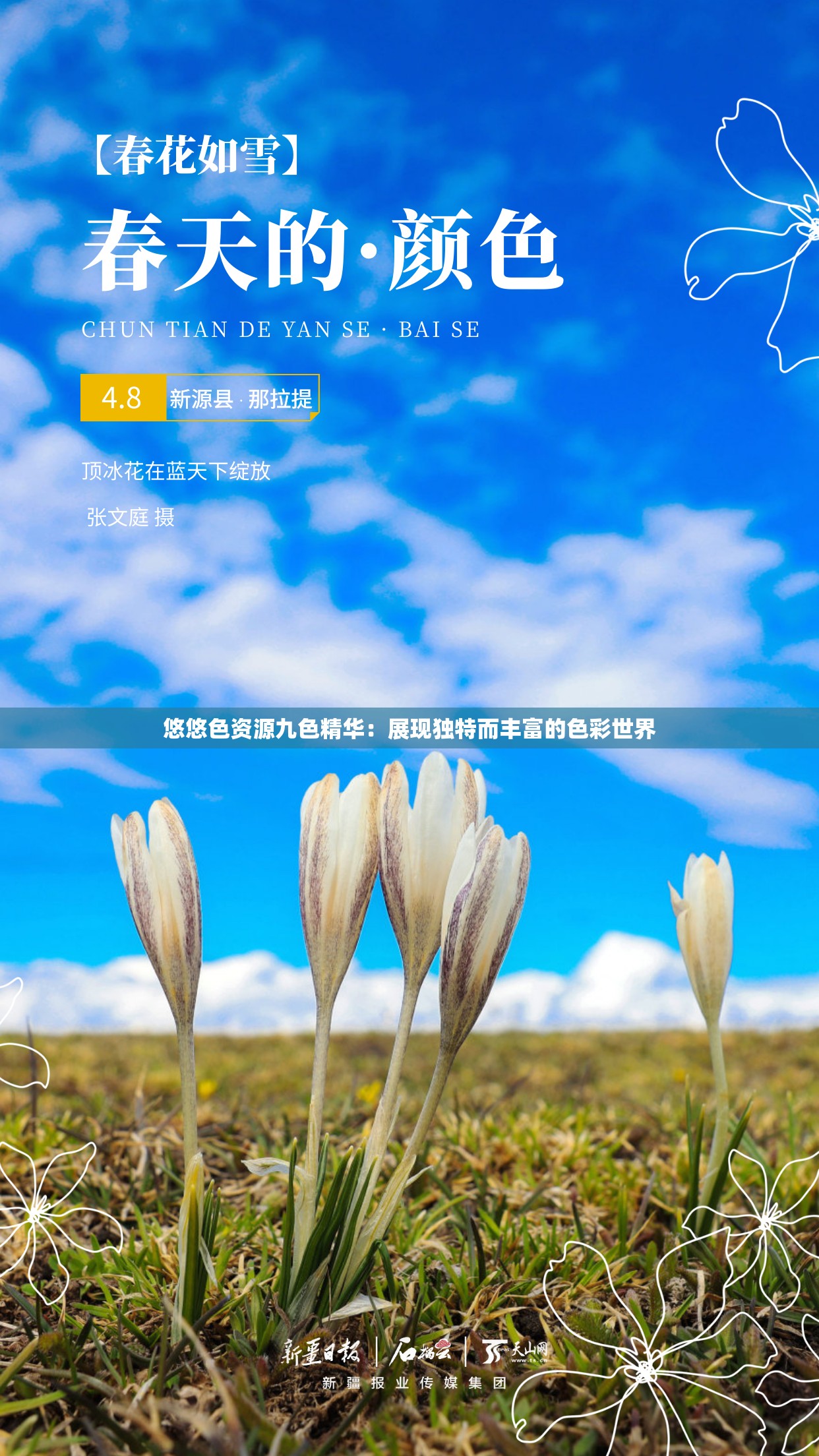 悠悠色资源九色精华：展现独特而丰富的色彩世界