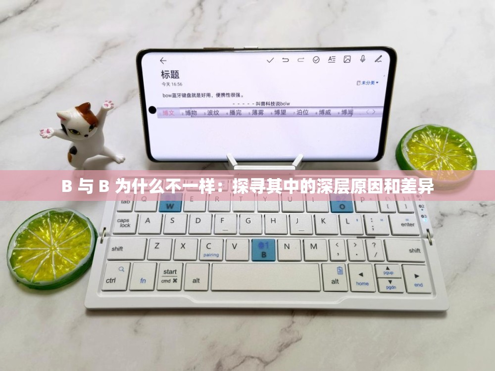 B 与 B 为什么不一样：探寻其中的深层原因和差异