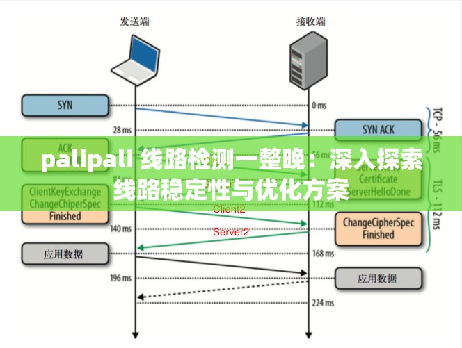 palipali 线路检测一整晚：深入探索线路稳定性与优化方案