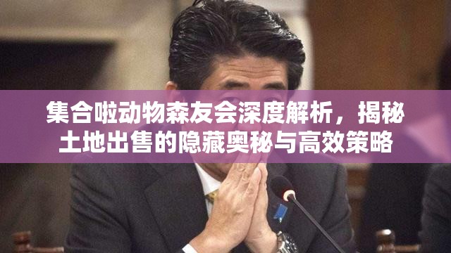 集合啦动物森友会深度解析，揭秘土地出售的隐藏奥秘与高效策略
