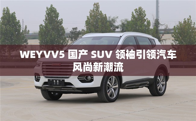 WEYVV5 国产 SUV 领袖引领汽车风尚新潮流