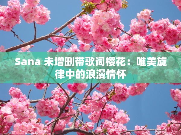 Sana 未增删带歌词樱花：唯美旋律中的浪漫情怀